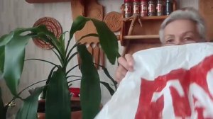 636. Как избавиться от клещей на домашних цветах навсегда.