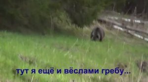 Медведь на рыбалке.. А ну ка пошёл на Хрен! Прикол. А что бы сделали ВЫ?