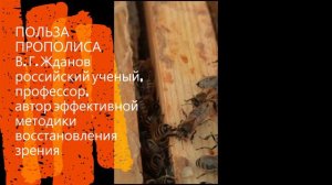 Владимир Георгиевич Жданов про прополис. #тенториум #витамины