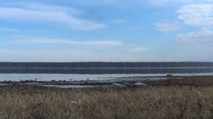 Весенняя охота на селезня с подсадными утками. Весна 2021г.