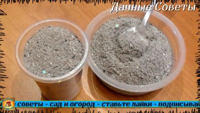 От этой подкормки Перец завалит Вас урожаем Вот что я кладу в лунку при посадке рассады Перца