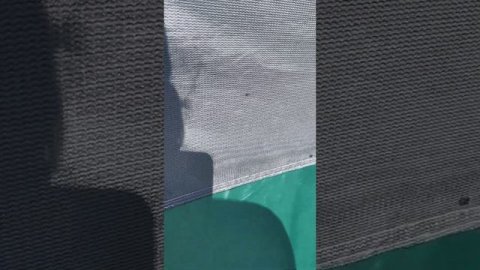 #дальнийвосток #приморье#косаназимова#отпуск2022#амстафф#дикаряминаморе#дикари#море#японскоеморе#