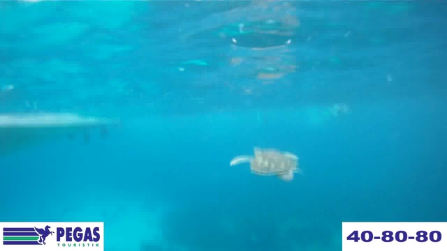 Таиланд 18 смотреть онлайн