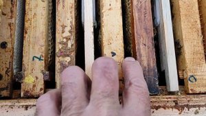 Слабые отводки в октябре. Как перезимовать и сохранить маток. ч. 2.  Объединение.