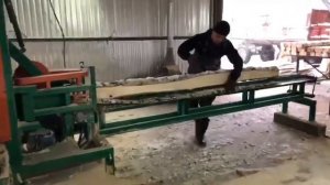 Алтай Мамонт и многопил 1Ц8-450