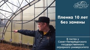 Теплица под пленкой 10 лет без замены | Отзыв кандидата сельскохозяйственных наук о пленке СВЕТЛИЦА™