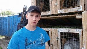 Вакцинация кроликов - как делать прививки кроликам от миксоматоза и ВГБК