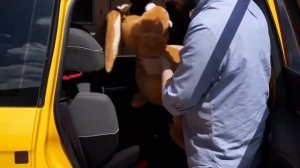 Установка детского кресла в автомобиле