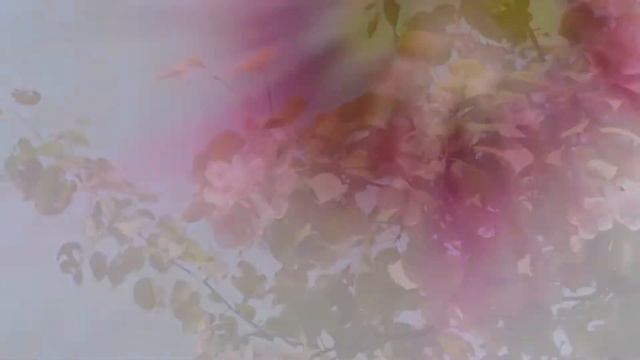 ДОМ У РЕКИ. Песни под гитару. Виталий Рыжинский. Автор исполнитель. смотреть онлайн