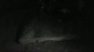 IRL stream Дедушки Курлыка!