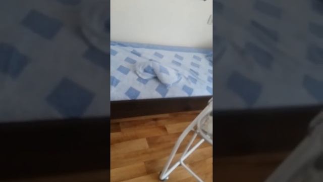 Роддом 1 на Кирова В Алмате!!! смотреть онлайн