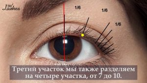 Беличий эффект в наращивании - схема выполнения