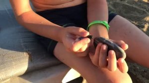 DIY. Веселые поделки из камешков