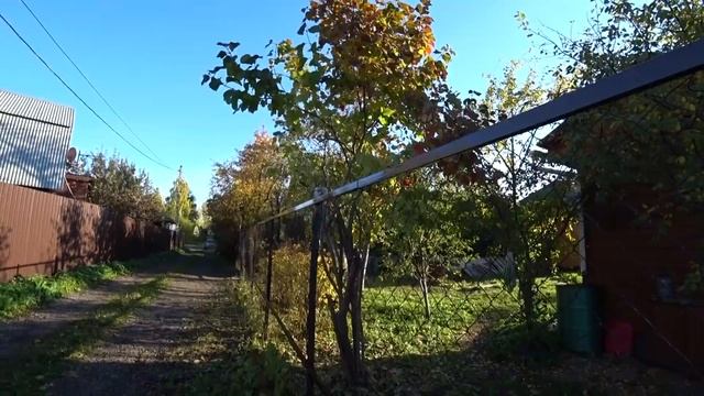 What's New at Our Dacha (Village)? Answer your Questions / Different Russia смотреть онлайн