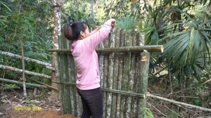LIVING OFF GRID - Solo Bushcraft & Camping, Survival Alone 20 Days Build the Most Secret Shelter