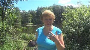 Наблюдать и изучать мир