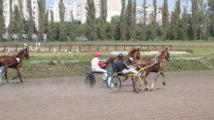 Бега на ипподроме в Киеве