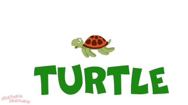 Учим английский для детей! English for kids! Тема - морские животные - развивающие мультики смотреть онлайн