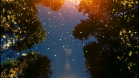 Звуки летучей мыши. Релакс. Красивый лес.#Релаксация#NatureSound#Relaxmusicforsleeping#Летучаямышь