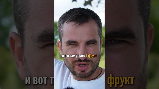 КТО ЗНАЕТ ЧТО ЗА ФРУКТ? 😱