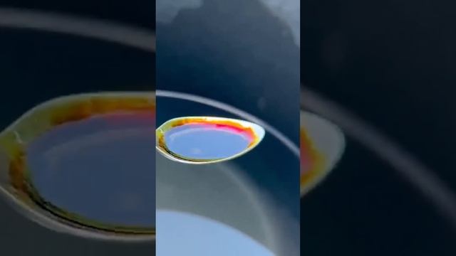 Томаты прут во всю и Быстро Зреют! Огурцы не болеют! Уникальный препарат для растений, теплиц
