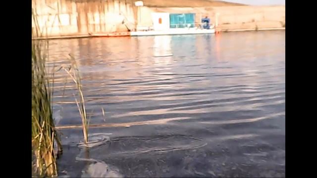 двухчасовая рыбалка.На Котовском водохранилище. смотреть онлайн