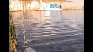 двухчасовая рыбалка.На Котовском водохранилище.
