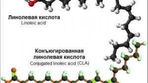 Кофе с маслом | Почему люди по всему миру начинают добавлять сливочное масло в кофе