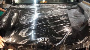 Kia Sonnet Paint Protection Film (PPF) Application