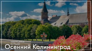 Уютная осень в Калининграде. Туры из Перми