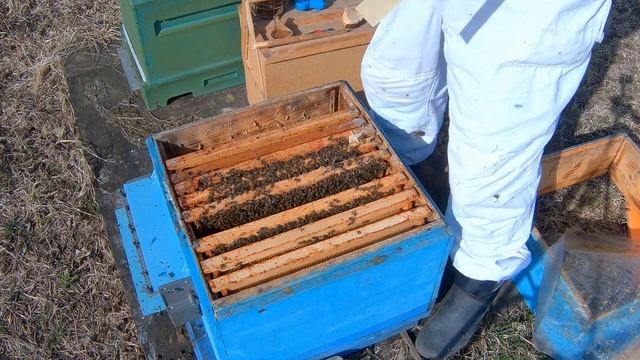 Замена Сетки на плёнку под кормушки на Улья смотреть онлайн