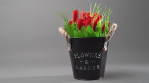 Предметная видеосъемка интерьерных цветов