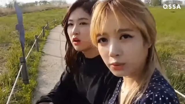 Por qué unirse a Blackpink podría ser el mayor arrepentimiento de Lisa смотреть онлайн