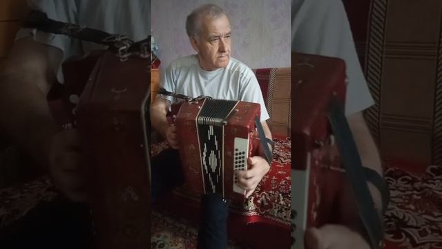 #частушки #гармонист #музыка #гармонь #песнидлядуши #песниподгармонь