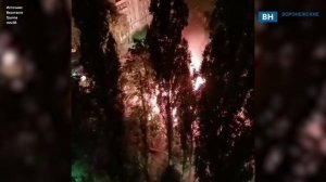 В Воронеже вспыхнул сарай