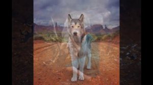 превращение человека в животное!!!