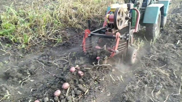 Самодельная грохотная картофелекопалка с ДВС.Копаем урожай 2020.