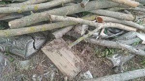 Аккумуляторный секатор с AliExpress на батареи от Makita.