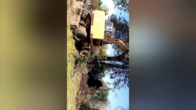 Валим Мега баобаб. смотреть онлайн