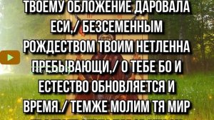 ИЗБАВЬ СВОЙ РОД ОТ БЕД И БОЛЕЗНЕЙ. Положение Честного Пояса Пресвятой Богородицы. Прочти скорее