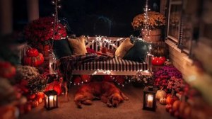 Уютные КАЧЕЛИ / ОСЕННЯЯ атмосфера / Лёгкий и прохладный ВЕТЕР / ЗВУКИ природы / ASMR