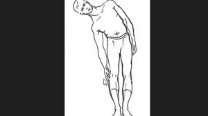 5 упр. академика Амосова