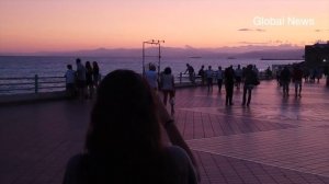 Как Живут Ксения Мишина и Александр Эллерт и Где Пройдет Их Свадьба