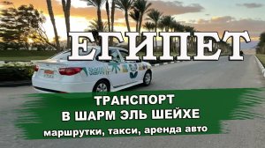 ЕГИПЕТ 2024| Транспорт в Шарм Эль Шейхе. Маршрутки, такси, прокат автомобилей, отельный трансфер