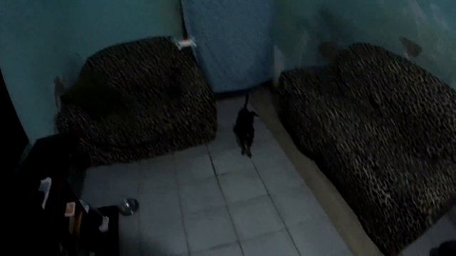 DRONE MITU XIAOMI смотреть онлайн