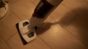 Bissell 1132N Vac & Steam im Test