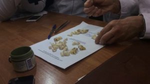 Резцы, клыки, премоляры и моляры