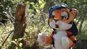 Животные Приморского края   Почемучка   С добрым утром, малыши!