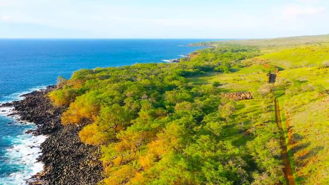 Native American Flute Music Serenity - Native American Music for Sleep, Relaxation, Stress Relief смотреть онлайн