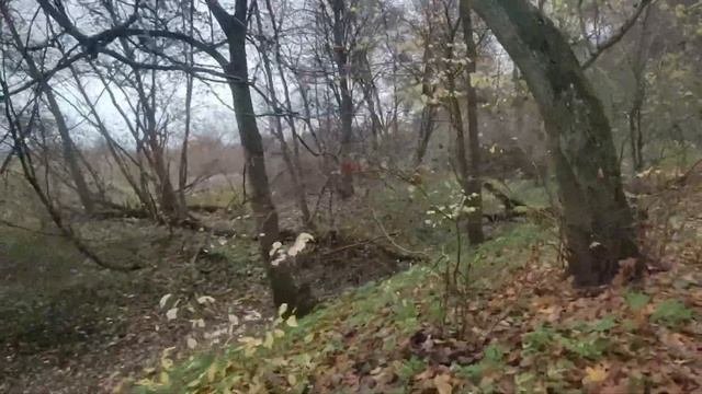 Знаменск[ex.Wehlau].Водопад на Лаве,заброшенная псих.больница Алленберг.Руины церкви Святого Иакова
